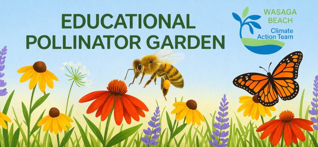 POLLINATOR GARDEN