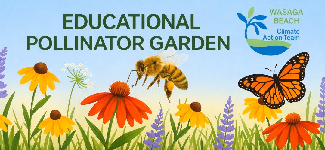 POLLINATOR GARDEN