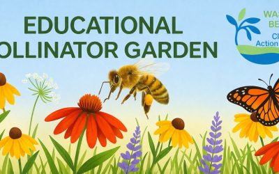 POLLINATOR GARDEN