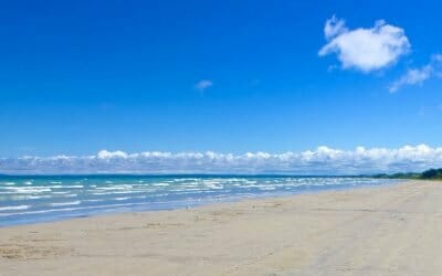Weekly Shoreline Cleanup with Georgian Bay Forever Starting June 4