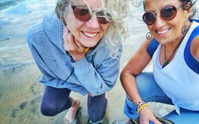 Join The Wasaga Beach Carbon Footprint Challenge