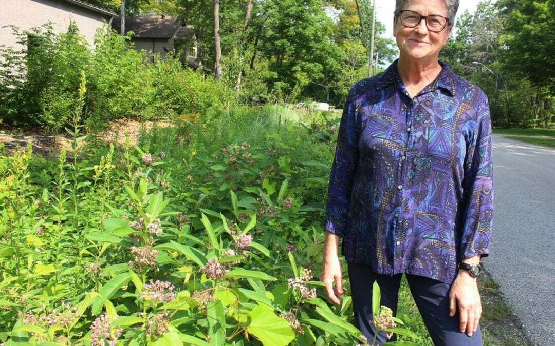 Wasaga Beach Council encourages boulevard gardens