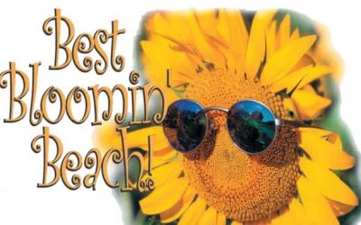 Home & Garden Show April 11/12-2026