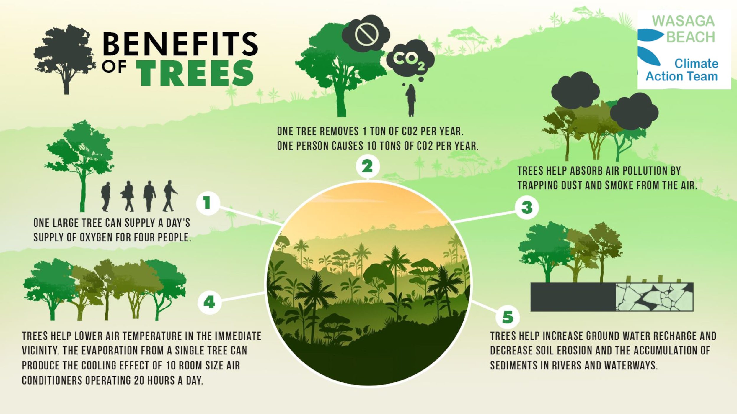 benefits of trees 2496x1404 Why Buy A Rain Barrel? Image of young woman carrying a rain barrel