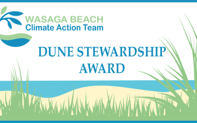 Dune Stewardship Award