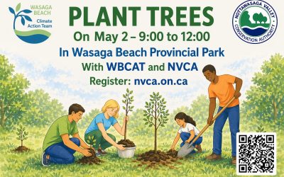 PLANT TREES MAY 2