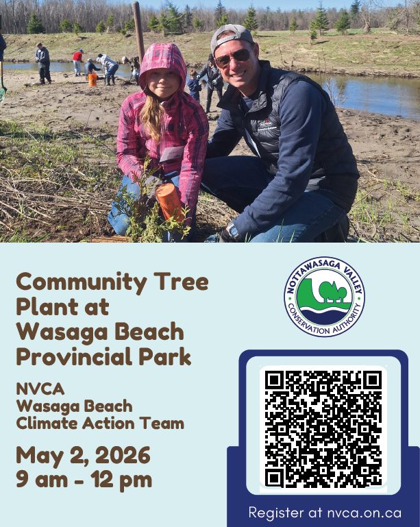plant trees nvca poster may 2026