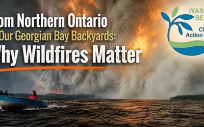 WILDFIRES MATTER