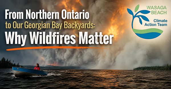 WILDFIRES MATTER