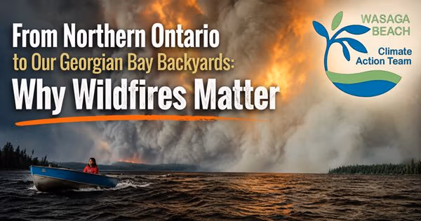 WILDFIRES MATTER